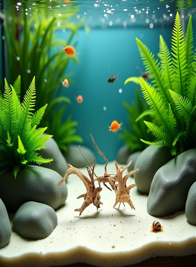 Tustao Aquarium Driftwood Branches Natural Wood Reptiles Trunk Wood Fish Tank Decoration Plant Stump Ornament Landscaping, Fish Tank Decoration, 8-10cm - Image 3